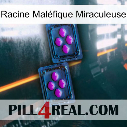 Racine Maléfique Miraculeuse 03